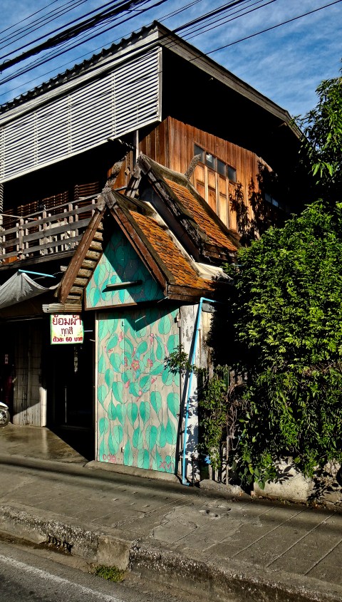 ficus religiosa_doa oa_reforestando asia  10