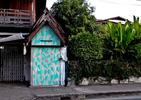 ficus religiosa_doa oa_reforestando asia 6