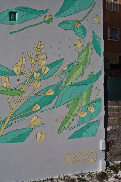 21 doa oa reforestando vigo