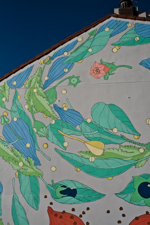 24 doa oa reforestando vigo