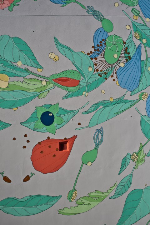 doa oa reforestando vigo 01