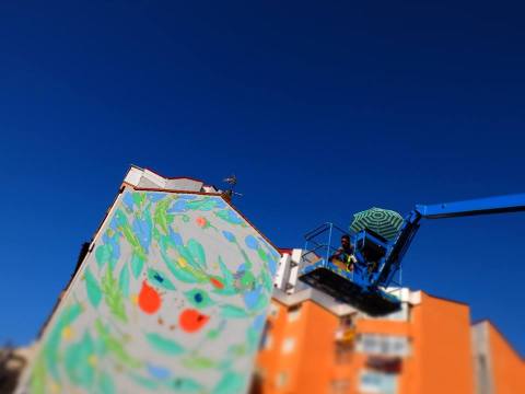 doa oa reforestando vigo 04