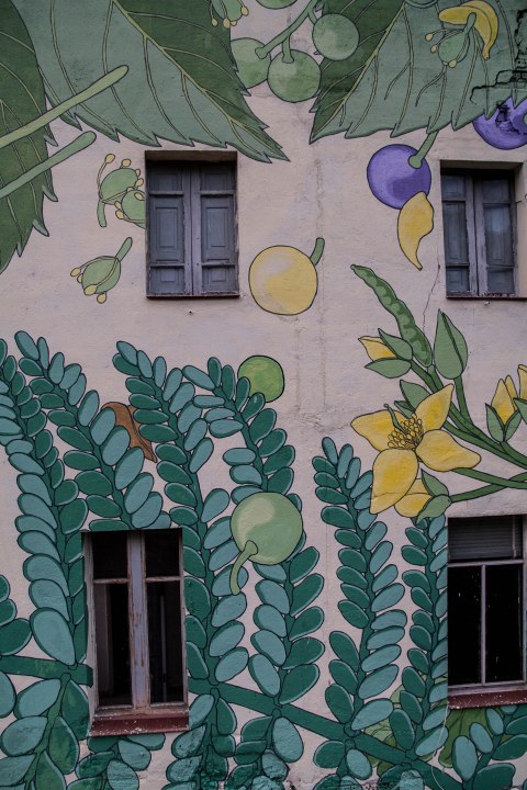 1-doa-oa-reforesta-peares