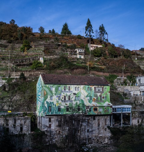 14-doa-oa-reforesta-peares