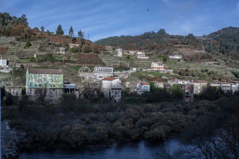 15-doa-oa-reforesta-peares