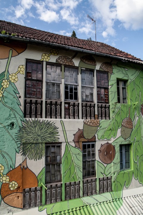 2-doa-oa-reforesta-peares