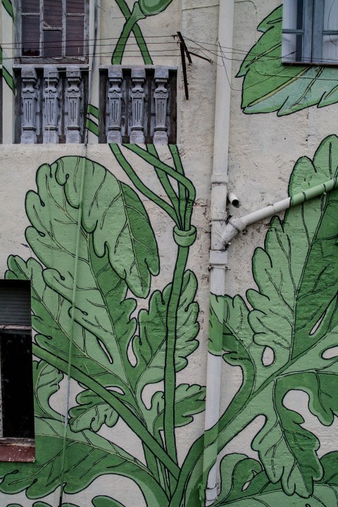 3-doa-oa-reforesta-peares