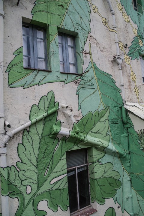 4-doa-oa-reforesta-peares