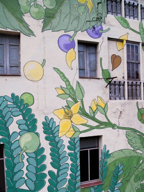 6-doa-oa-reforesta-peares