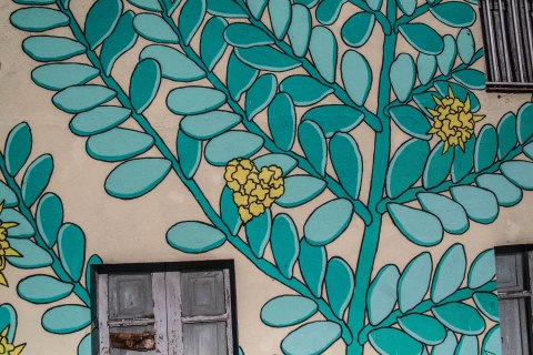 7-doa-oa-reforesta-peares