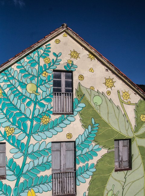 8-doa-oa-reforesta-peares