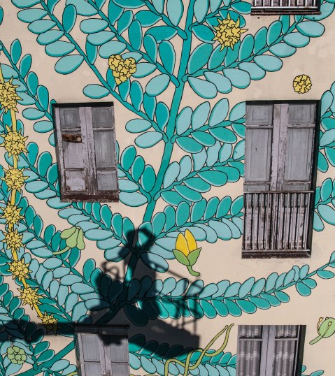 9-doa-oa-reforesta-peares