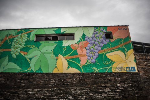 portomarin-det-reforestando-ribeira-sacra-doa-2