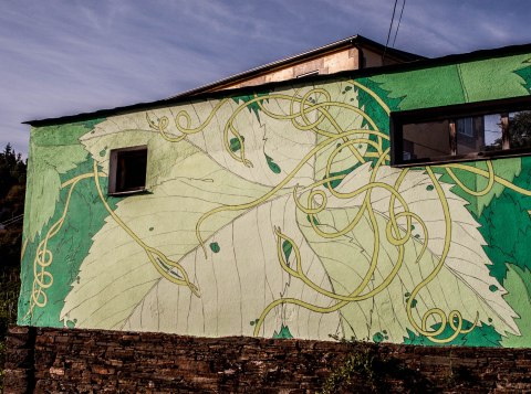 portomarin-det-reforestando-ribeira-sacra-doa-3