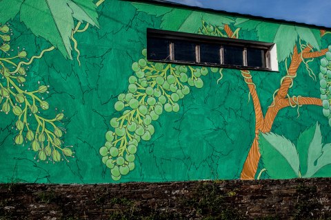 portomarin-det-reforestando-ribeira-sacra-doa-4