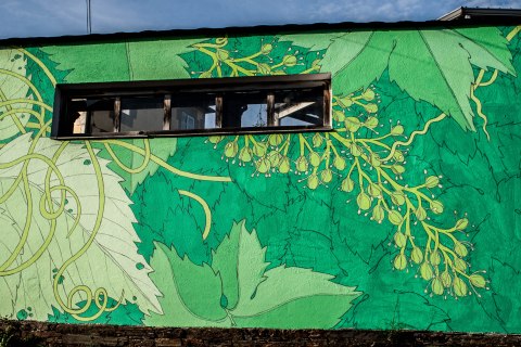 portomarin-det-reforestando-ribeira-sacra-doa-5