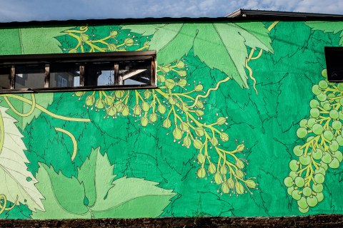 portomarin-det-reforestando-ribeira-sacra-doa-6