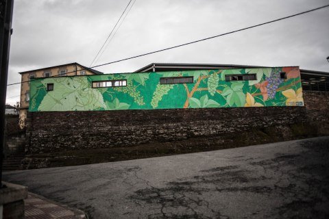 reforestando-na-ribeira-sacra-portomarin-doa-ocampo