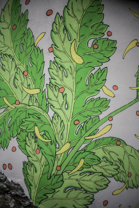 reforestando-ribeira-sacra-doa-ocampo-paradela-11