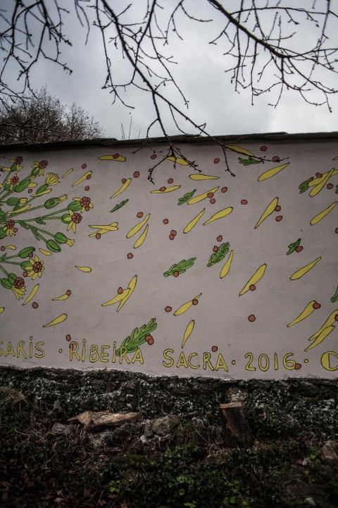 reforestando-ribeira-sacra-doa-ocampo-paradela-8