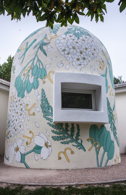 achillea millefolium reforestando doa oa 11