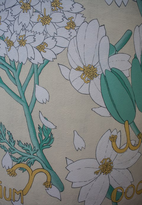 reforestando achillea millefolium doa ocampo 9