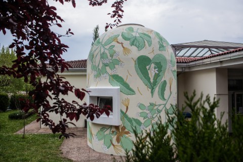 stevia rebaudiana reforestando doaoa