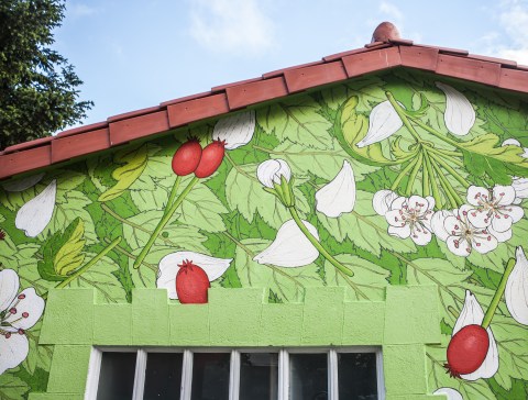 doa oa reforestando ribeira sacra panton 11