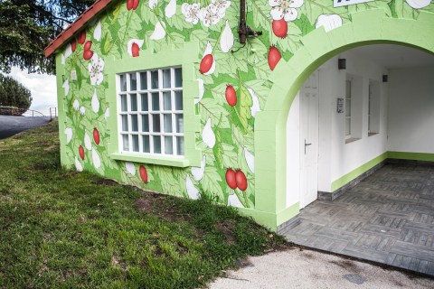 doa oa reforestando ribeira sacra panton 12