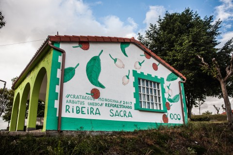 doa oa reforestando ribeira sacra panton 4