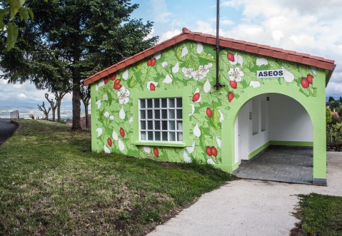 doa oa reforestando ribeira sacra panton 5