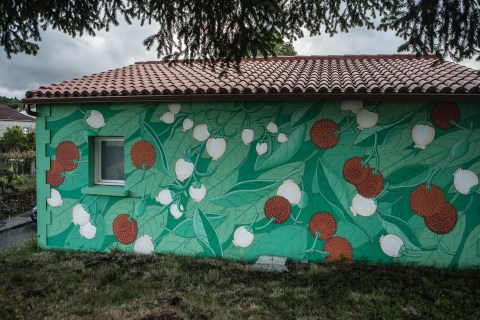 doa oa reforestando ribeira sacra panton 7