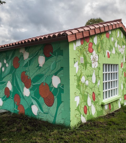 doa oa reforestando ribeira sacra panton6