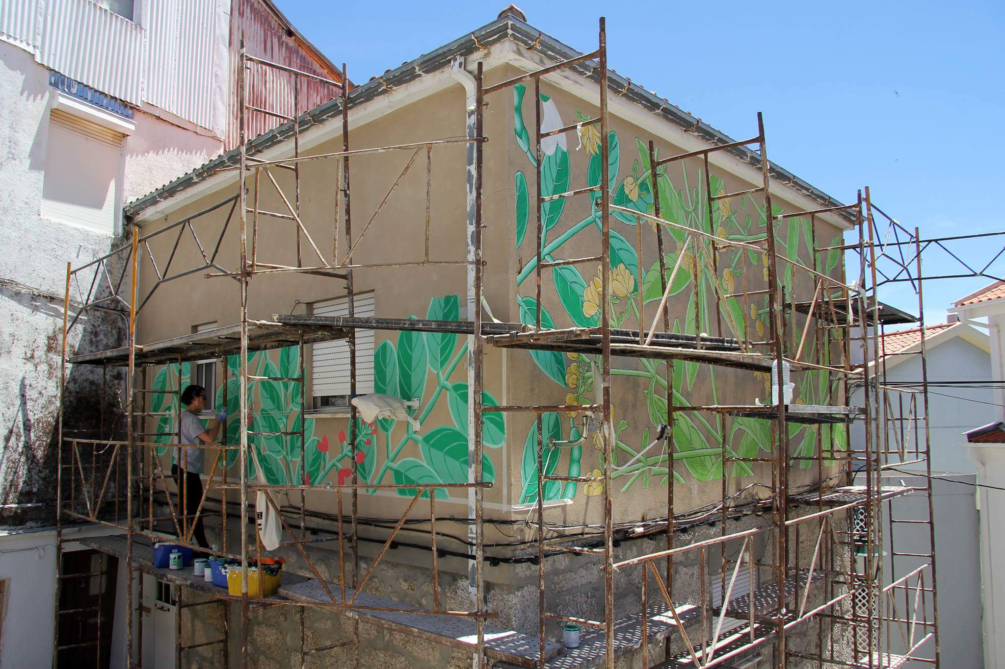 19400191_1415353995179557_7084808541643666784_o (1)