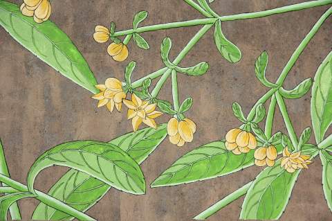 19400199_1416024111779212_5560192288173297463_o