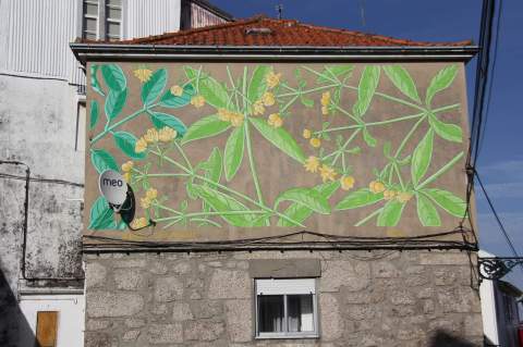 19401980_1416022935112663_6790749250463433451_o