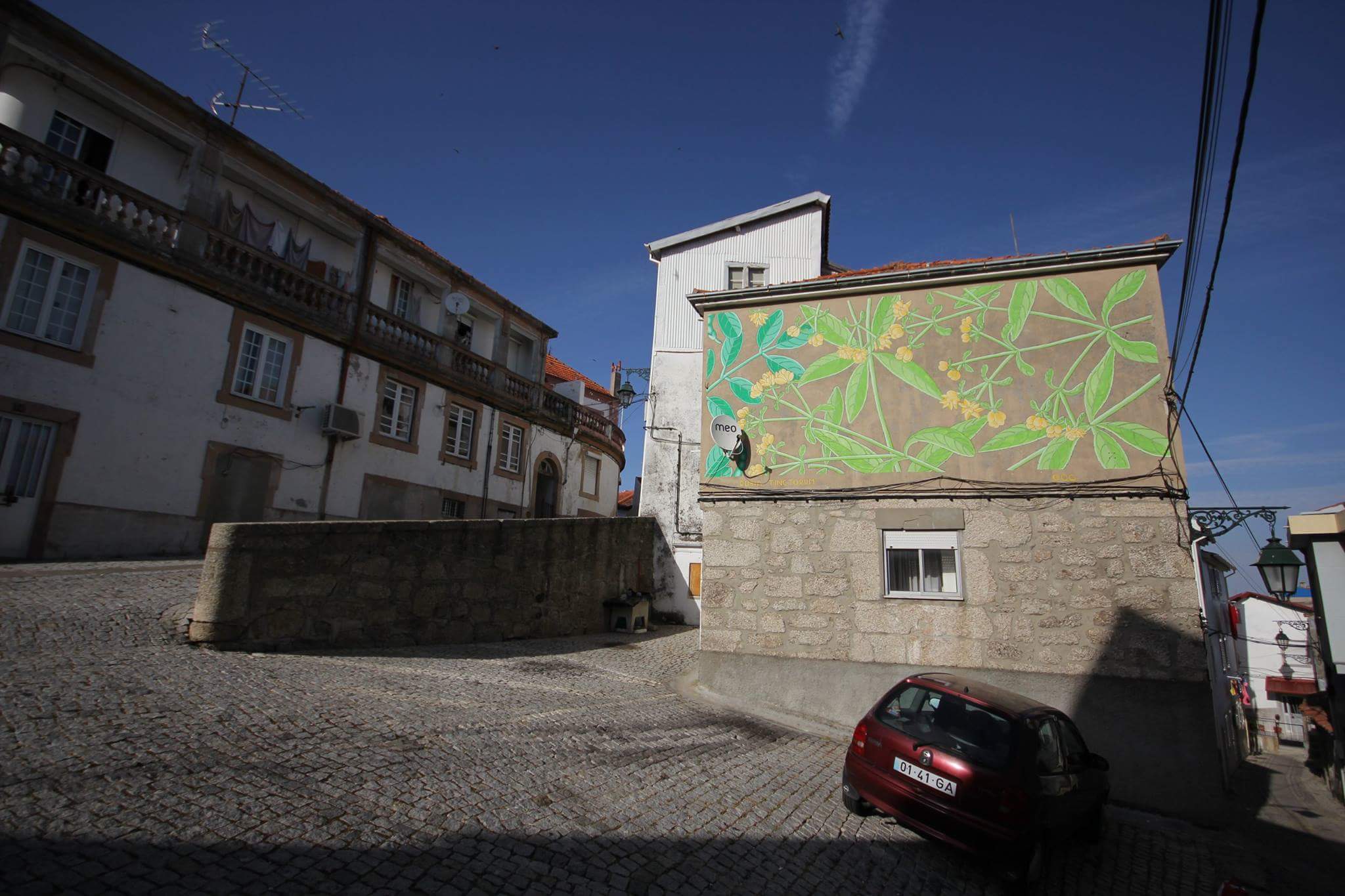 19402209_1416022405112716_4187725616486517555_o