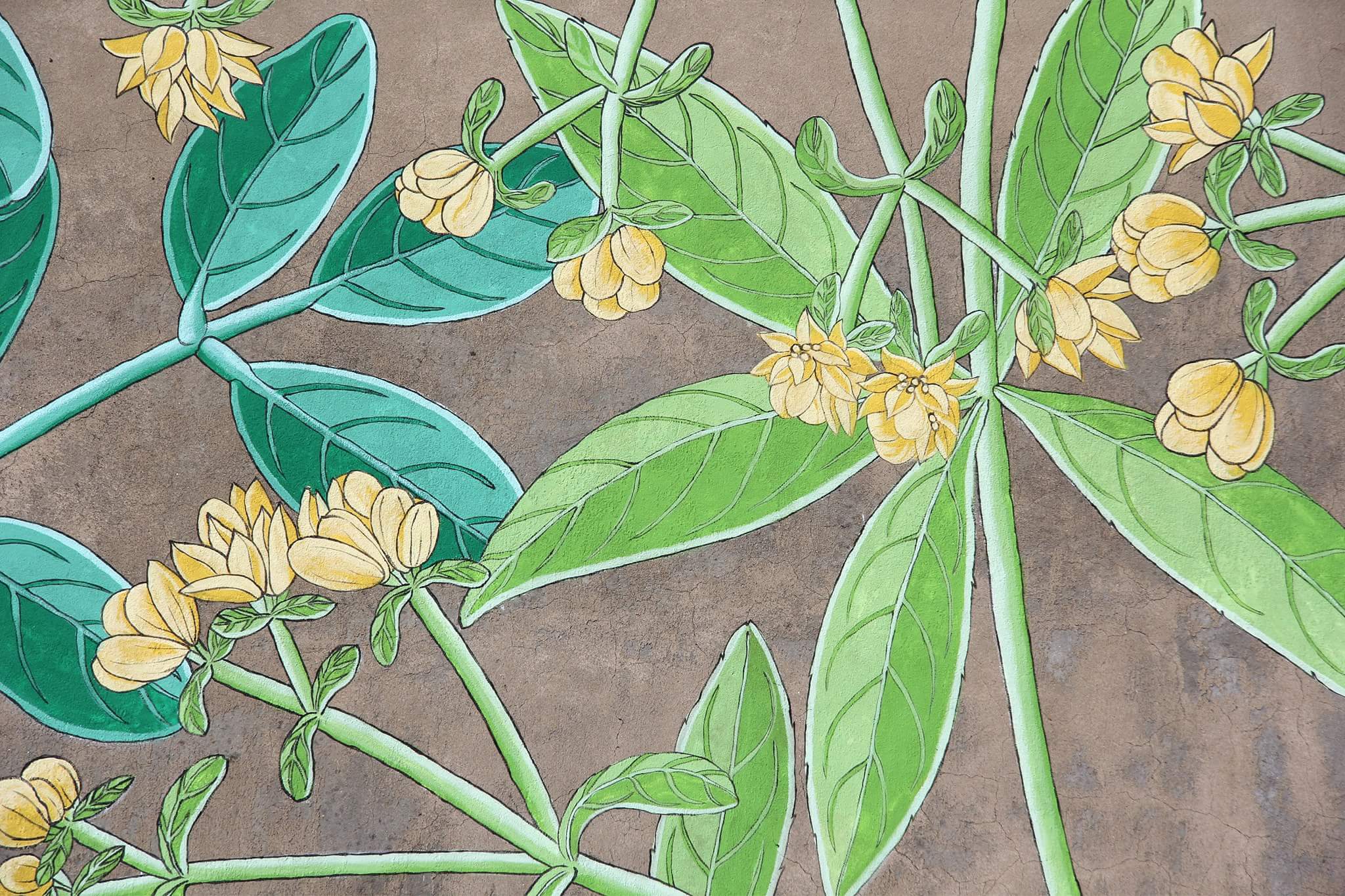 19417399_1416024231779200_8196308766517110701_o