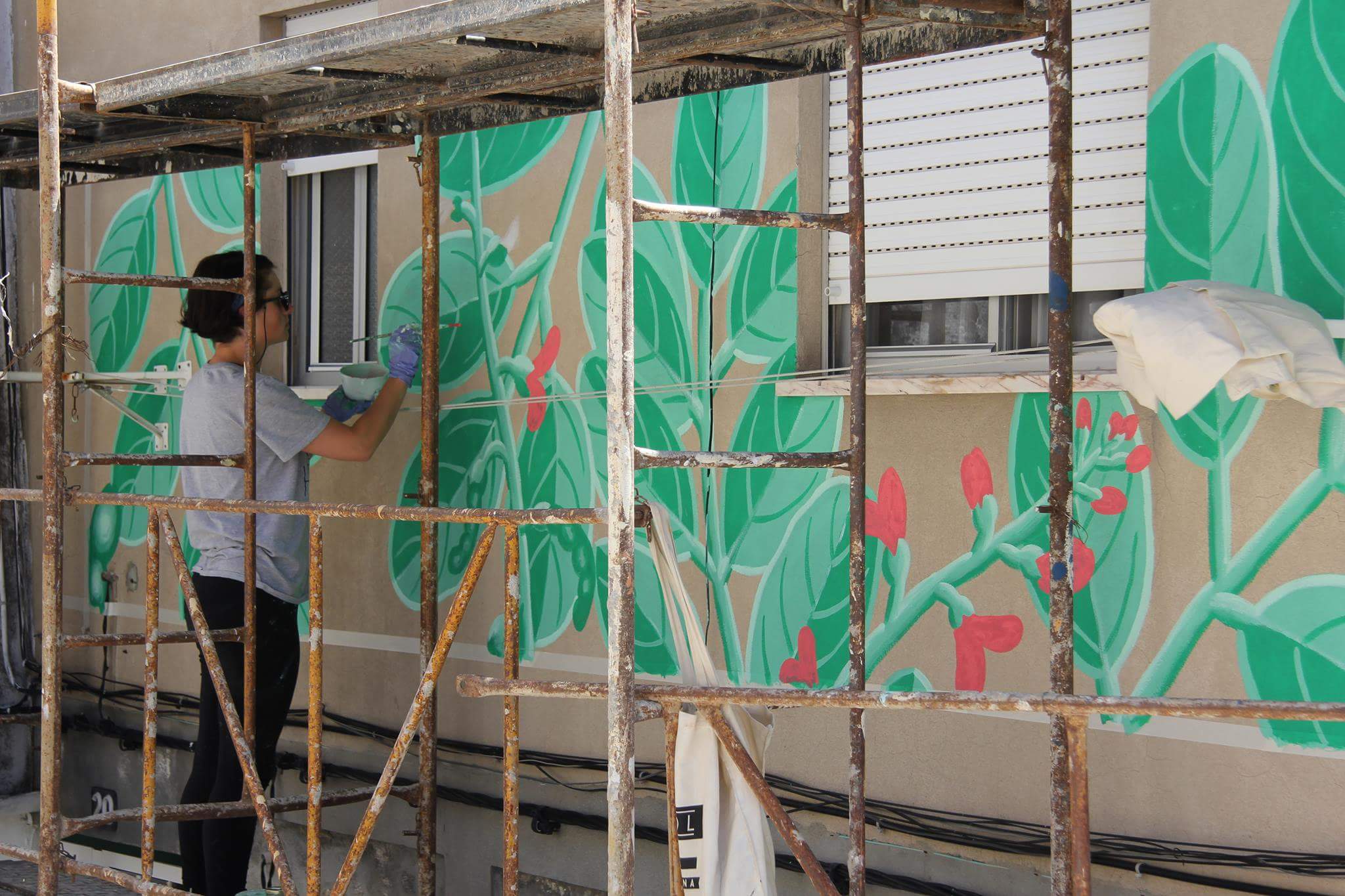 19417431_1415333221848301_4988442093472792342_o