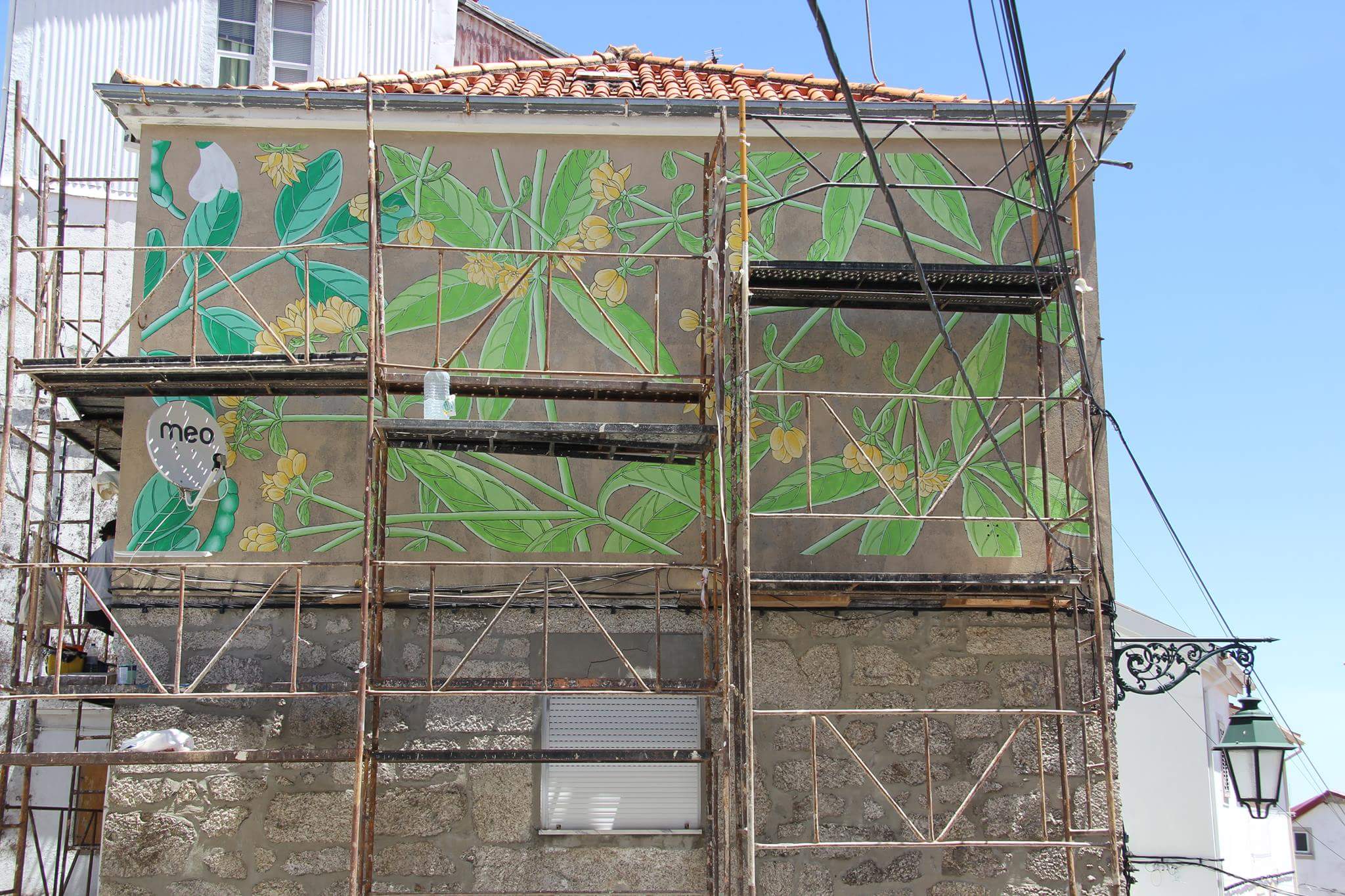 19417512_1415352091846414_8215286287372329676_o