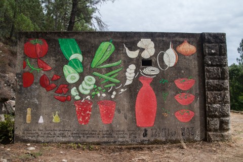 piquenique en agosto _ maz+doaoa _1