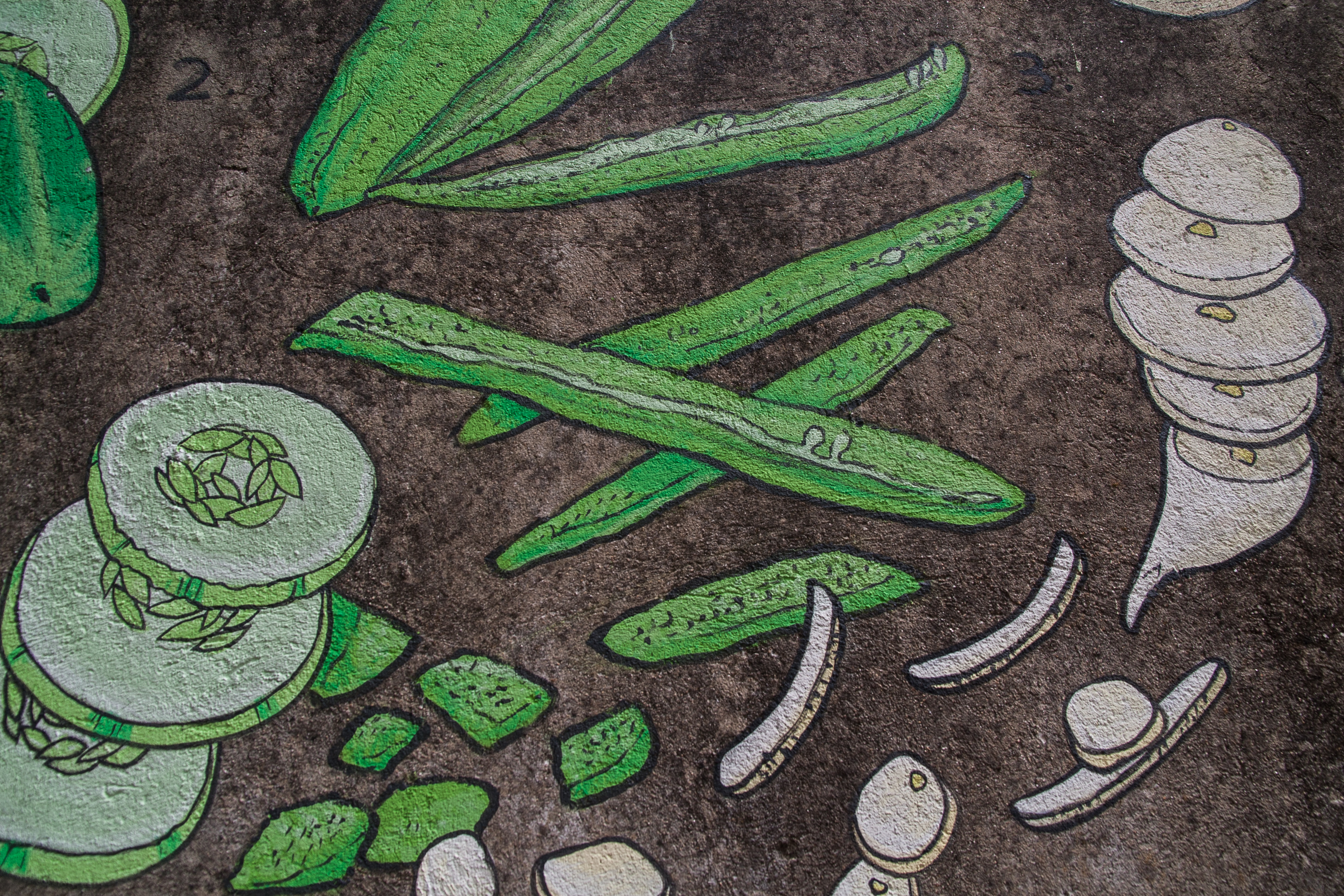 piquenique en agosto _ maz+doaoa _10