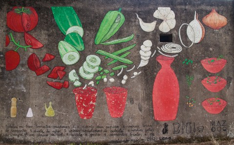 piquenique en agosto _ maz+doaoa _14