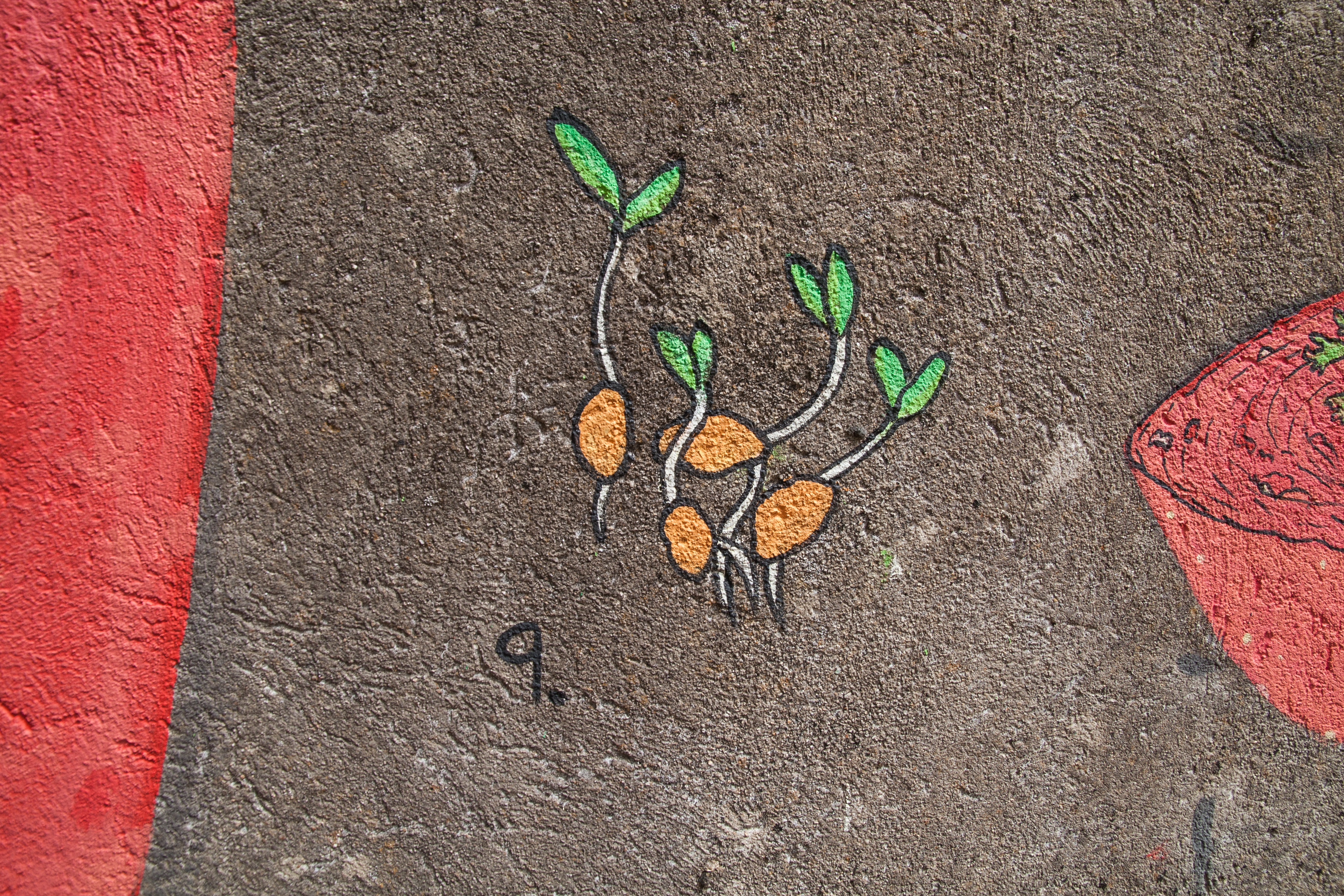 piquenique en agosto _ maz+doaoa _16