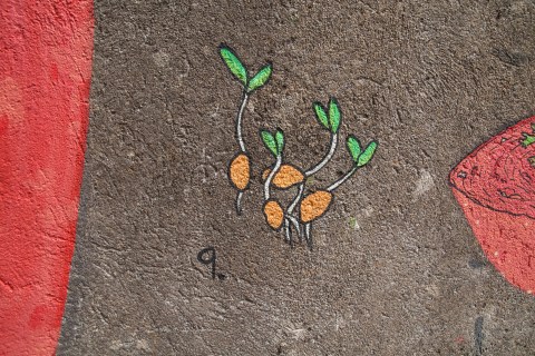 piquenique en agosto _ maz+doaoa _16