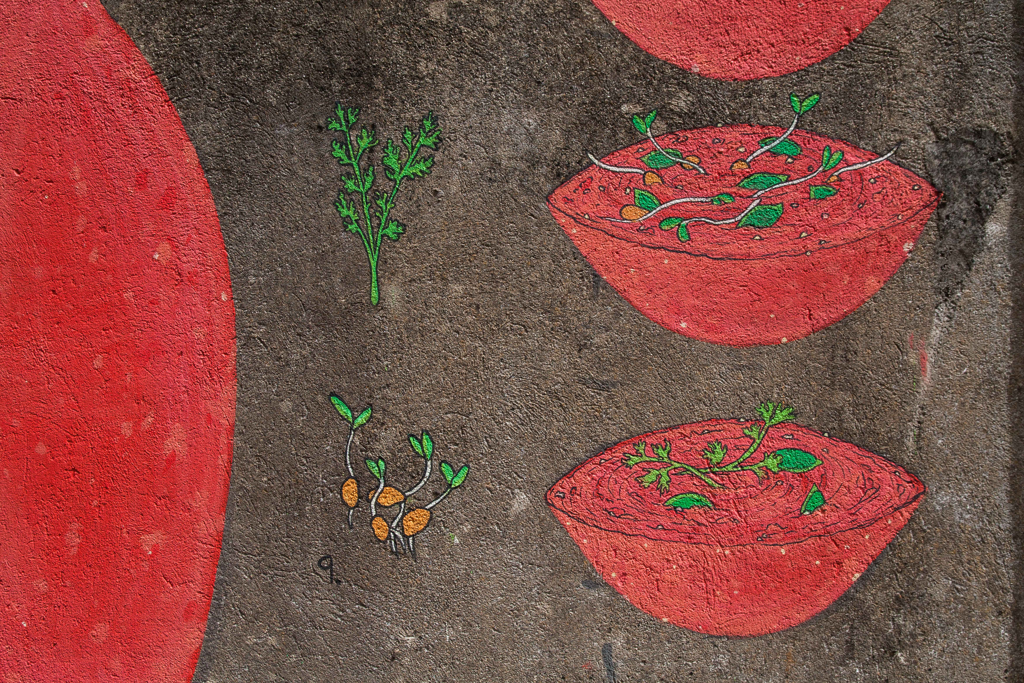 piquenique en agosto _ maz+doaoa _4