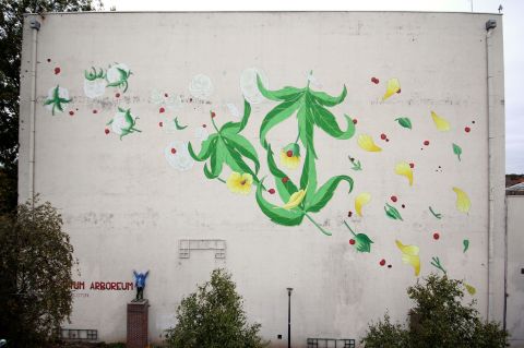 23949197_10155988032522425_19131000_o