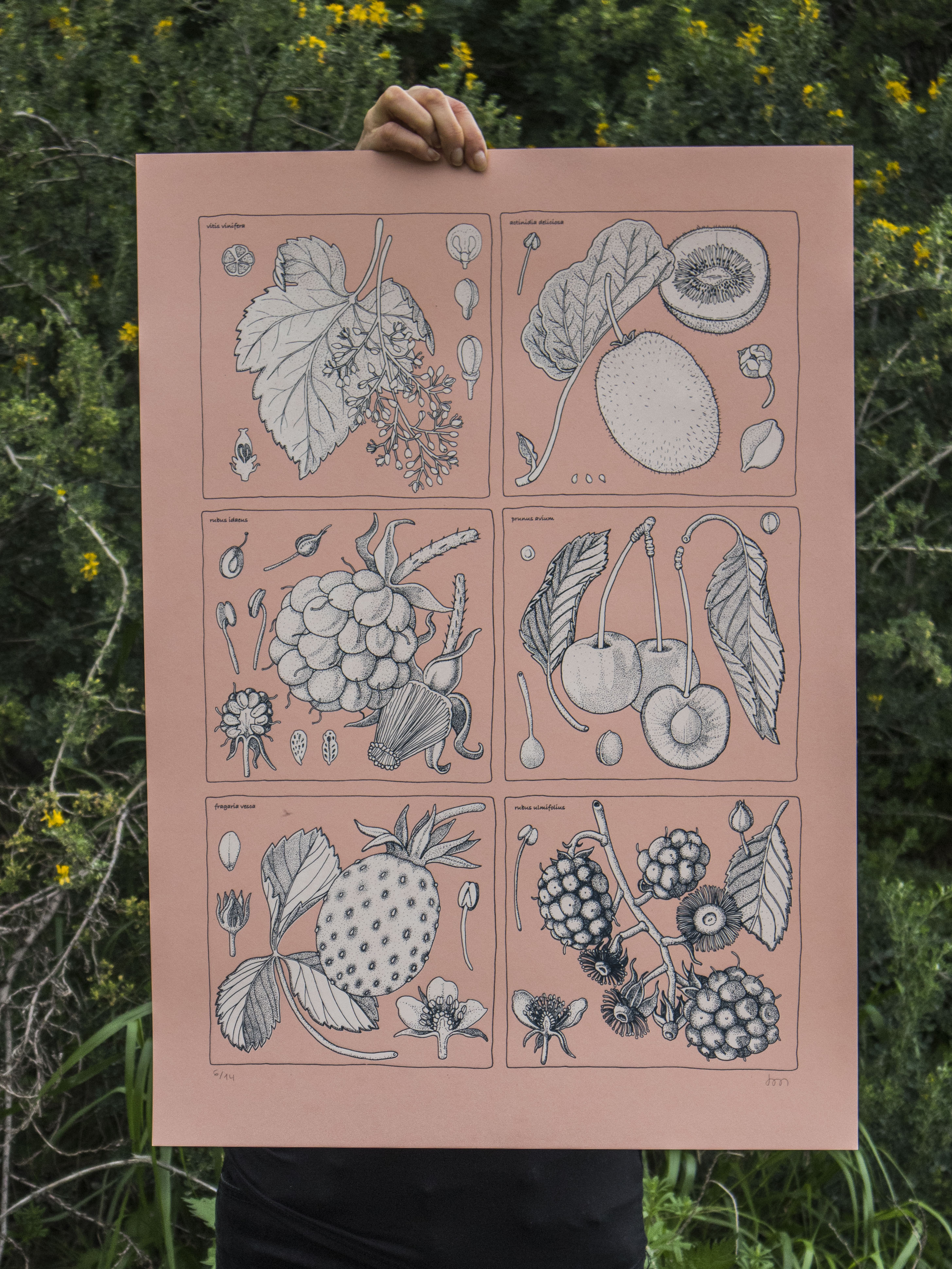 antioxidantes 1 _doa oa_c