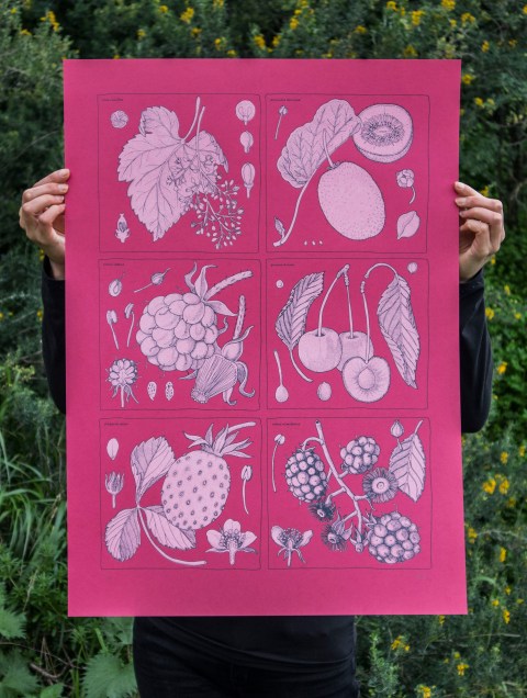 antioxidantes 1 doa oa_ e