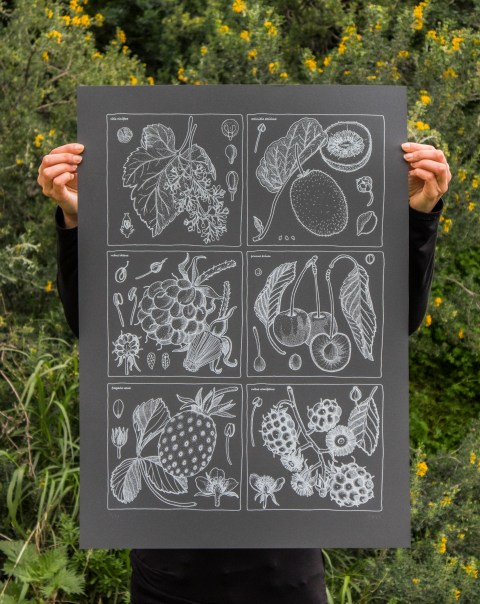 antioxidantes 1_ doa oa_ b